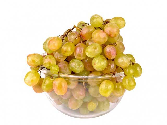 免费ddos压力测试平台